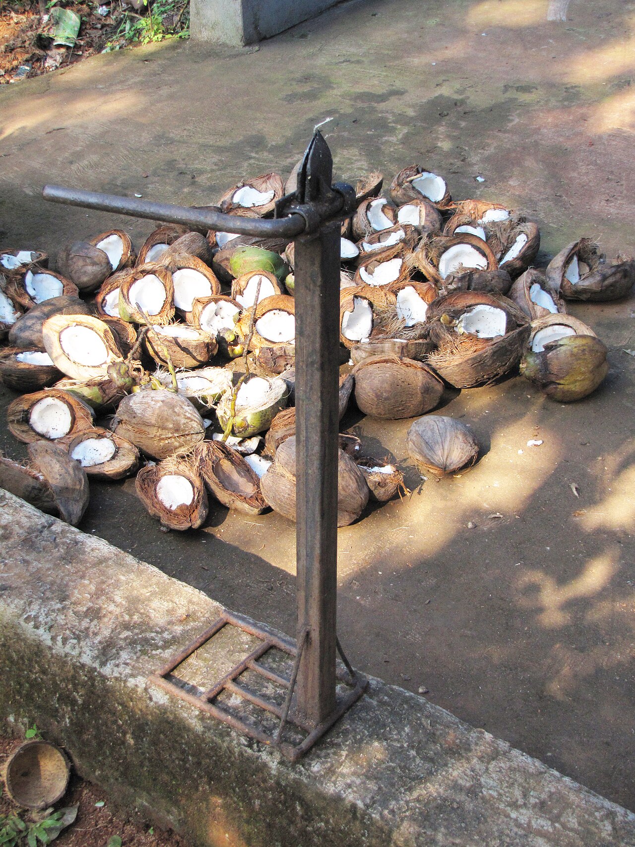 Coconut Dicers
